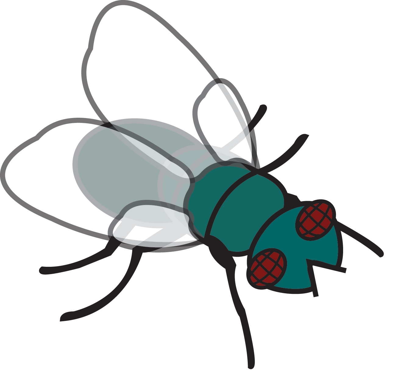 clipart of house fly - photo #34