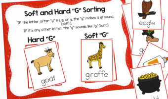 Hard Soft C G learning activities